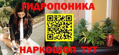 PSILOCYBIN Камышлов