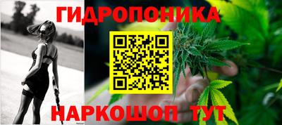 PSILOCYBIN Камышлов